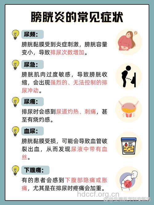 导致膀胱炎的发病原因和感染途径
