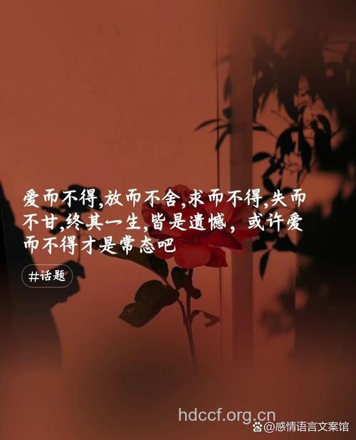 爱 要用一生去领悟