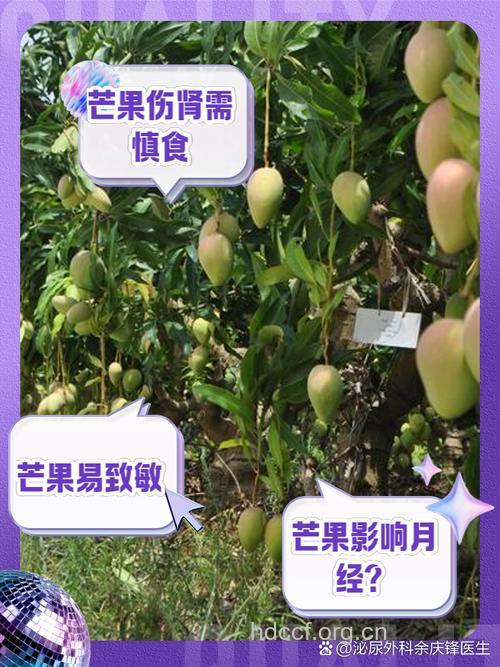 芒果能多吃吗 芒果吃多了会怎么样