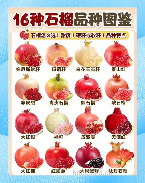 数数吃石榴的八大好处