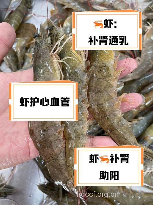 男人阳痿怎么办 中医推崇吃虾治疗