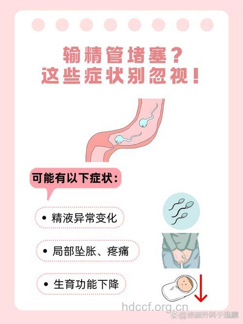 男性精道阻塞挡住好“孕”来