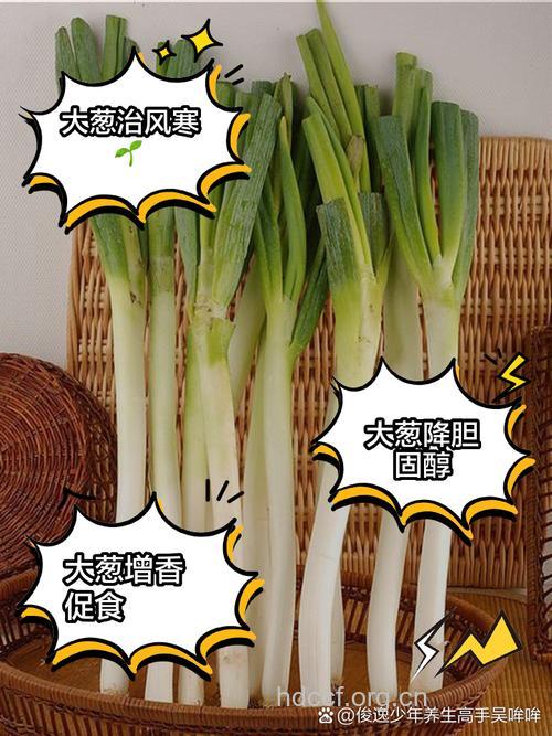 常吃大葱具有七大神效