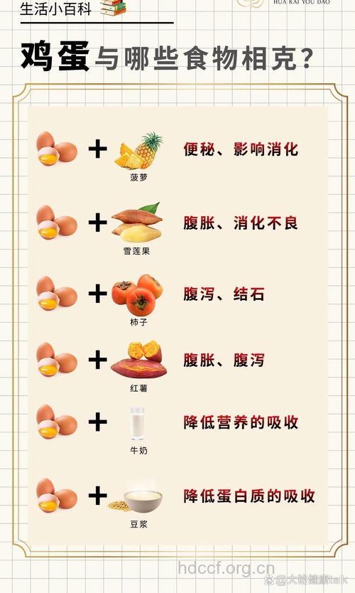 鸡蛋和什么食物相克