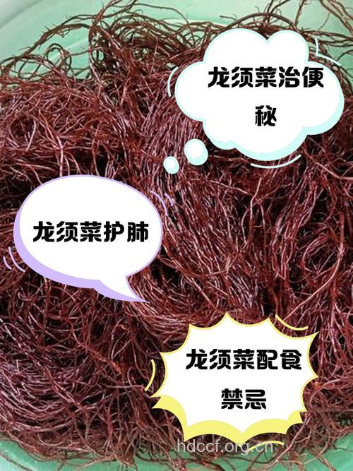 龙须菜和什么食物相克