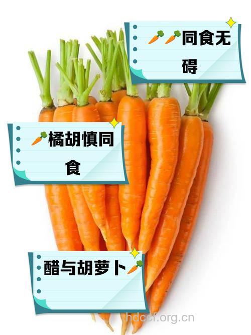 胡萝卜和什么食物相克