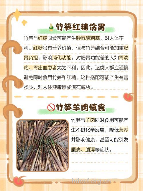 竹笋和什么食物相克