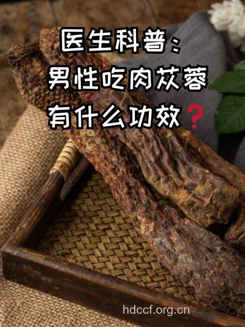 提高男人性能力的中药有哪些