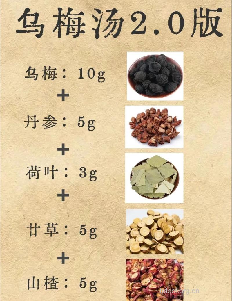 治疗梅毒的5个简单食疗方
