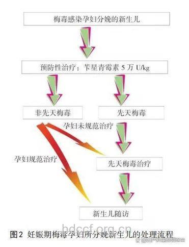 妊娠期女性怎么正确应对梅毒方法