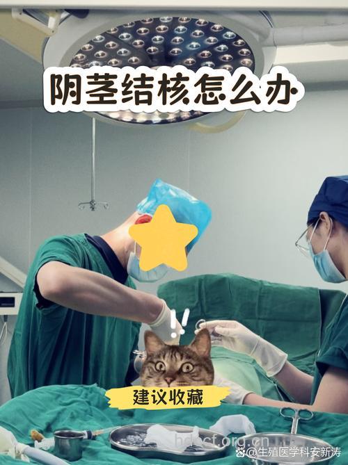 尿道与阴茎结核能治好吗?