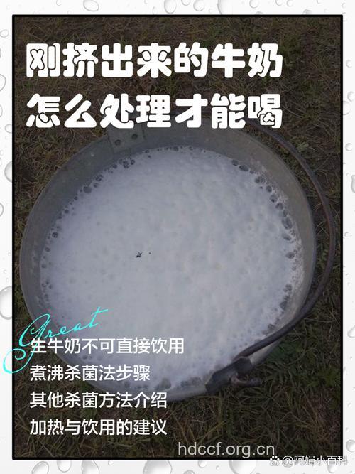 牛奶现挤的最有营养吗