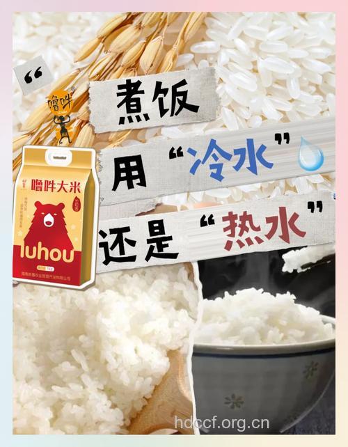 用冷水煮饭营养高吗