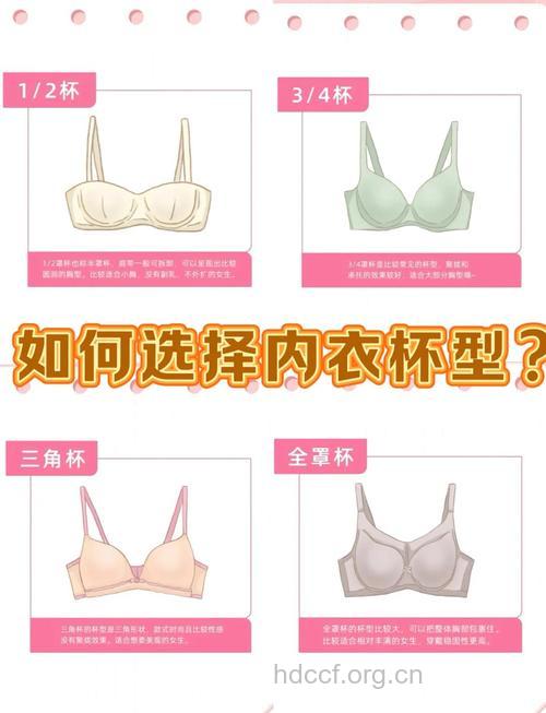 全罩杯是什么意思 如何区分内衣罩杯