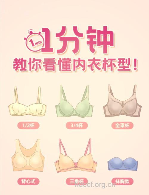 女性要怎么区分文胸罩杯？