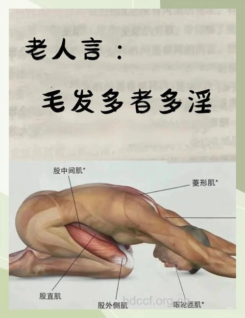 男性体毛旺盛性欲强? 科学调理很关键