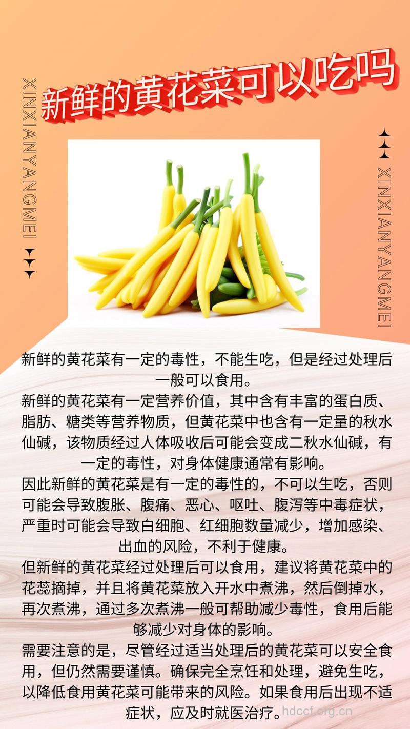 新鲜的黄花菜能吃吗
