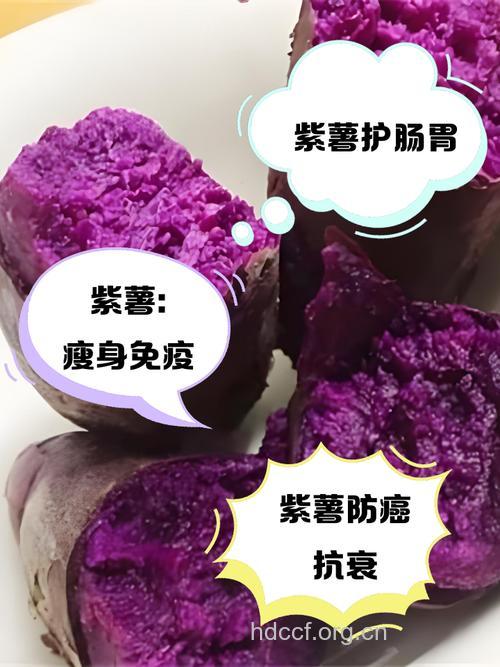 吃紫薯到底能不能抗癌