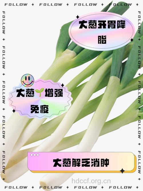 大葱的功效与作用 大葱有什么营养