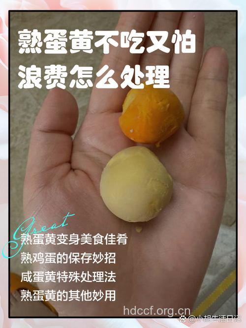 吃蛋黄到底好不好