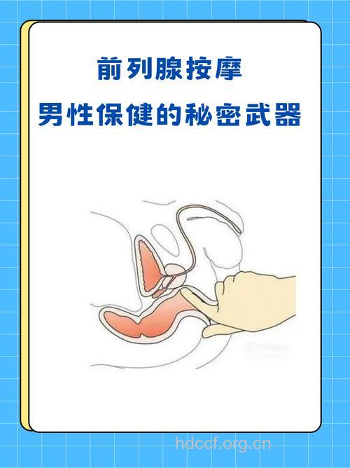 男性如何才能有效按摩前列腺