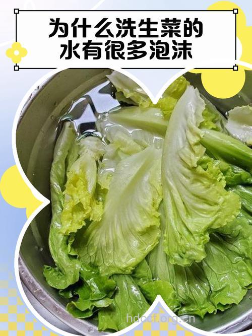 洗蔬菜时用水泡好吗