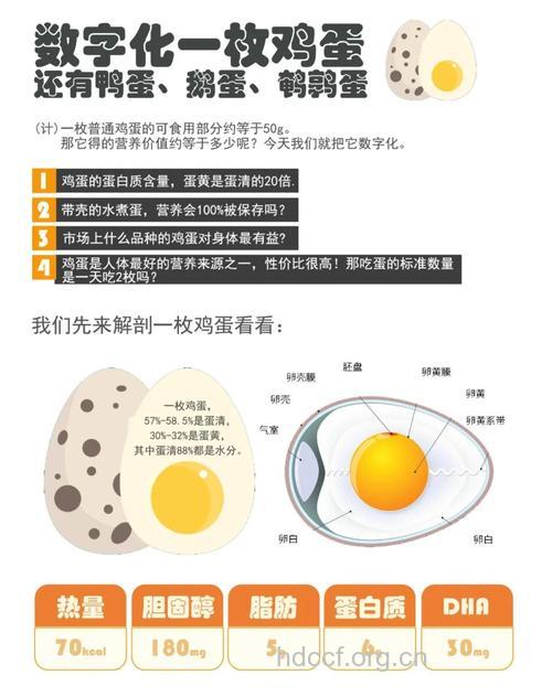 鸡蛋生吃有营养吗