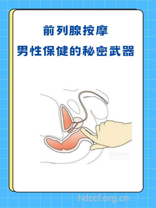怎么按摩治疗前列腺疾病