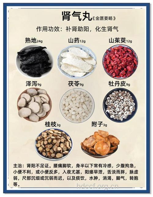 男人如何补肾 4款中成药效果好