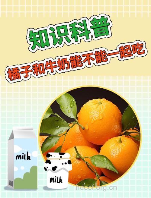 牛奶和橘子能一起吃吗