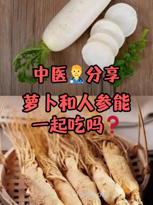人参和萝卜能一起吃吗