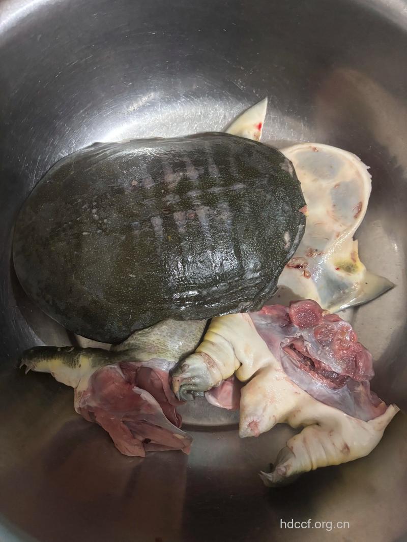 鸡肉和甲鱼能一起吃吗