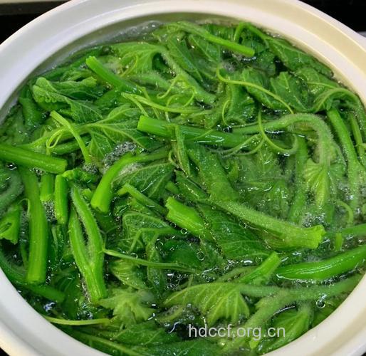 青菜和醋能一起吃吗