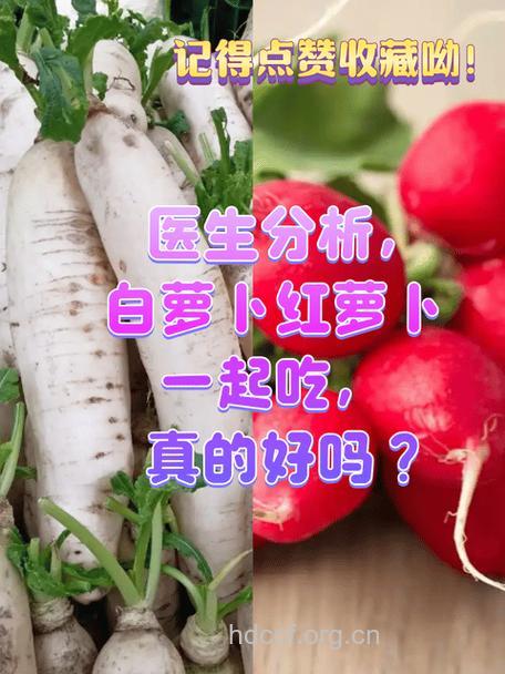 荔枝和白萝卜能一起吃吗