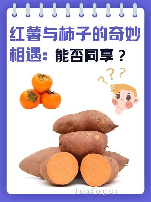 山药和柿子能一起吃吗