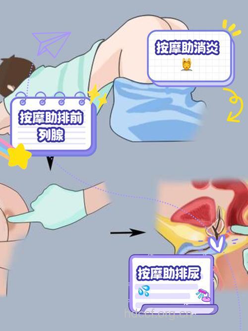 按摩男性前列腺的技巧大全