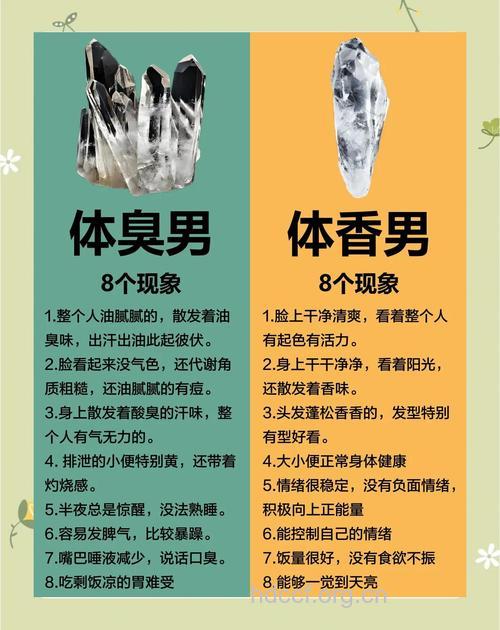 揭示:为什么男人容易有狐臭