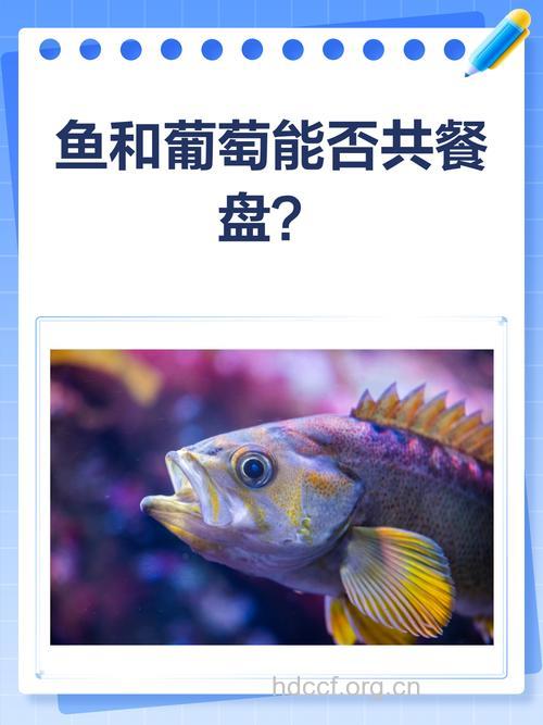 鱼和葡萄能一起吃吗