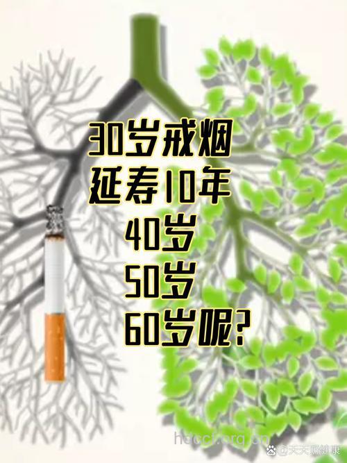 男性要长寿就少抽烟