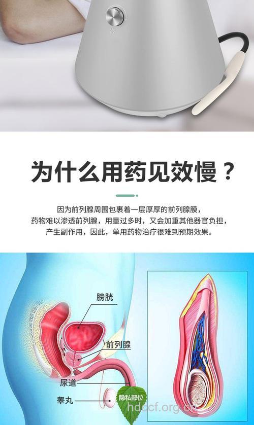 早泄的中医病机是什么呢