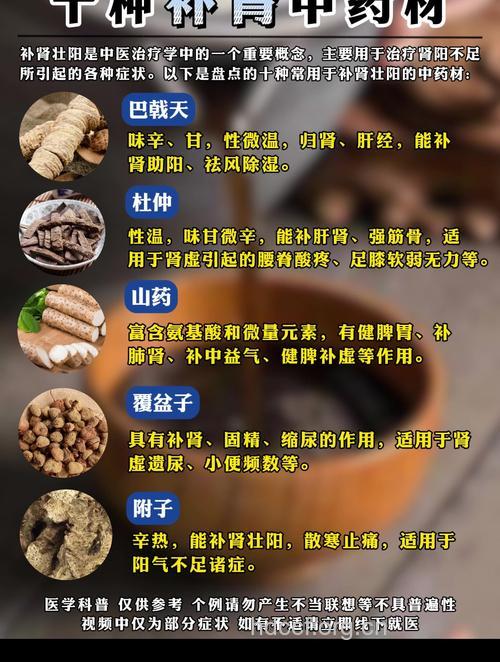 10种男人补肾壮阳中药