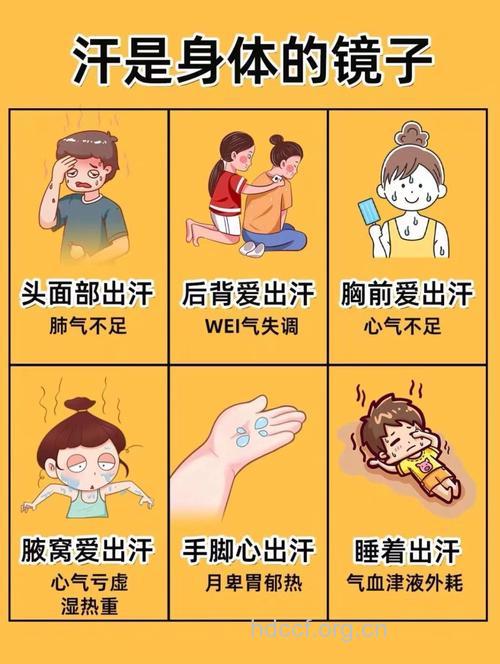 为何紧张会导致我们出汗