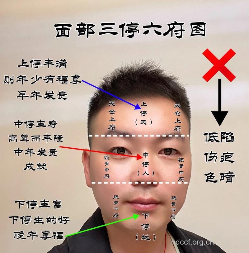 透过7种面相看出男人性能力