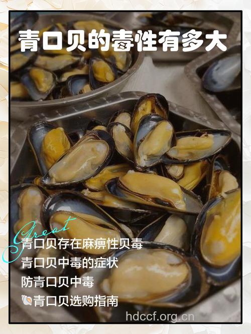 有心血管疾病的人不能吃海鲜吗