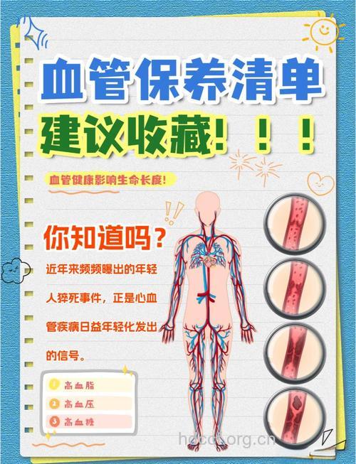 如何保护血管 轻松预防老化疾病