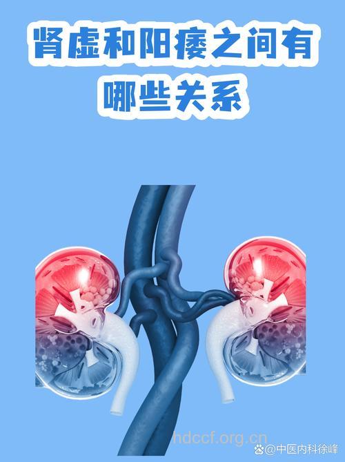 阳痿与肾虚 两大疾病有何联系