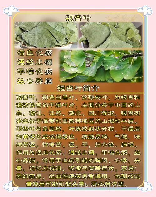 银杏叶茶有益健康吗