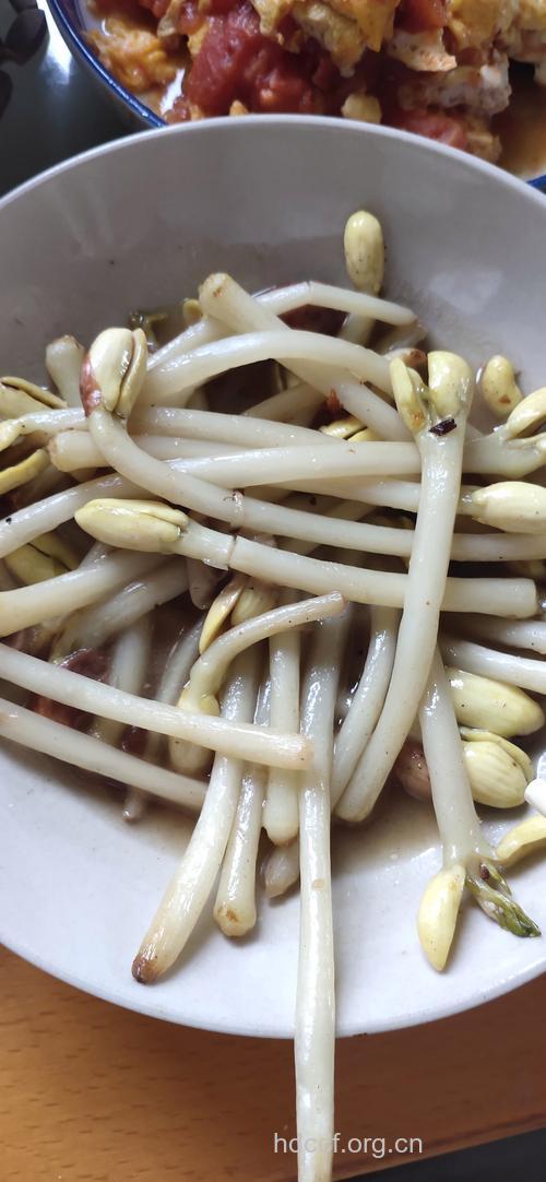 粗壮的豆芽好吗