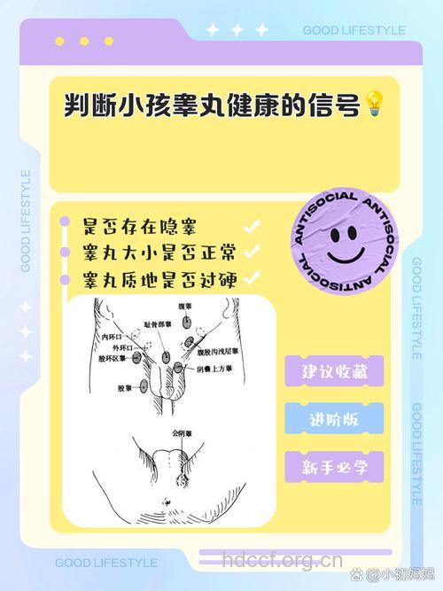 睾丸不正常可导致不育 要如何判断