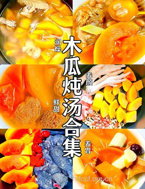 木瓜桂圆 男人养胃就吃这7种食物